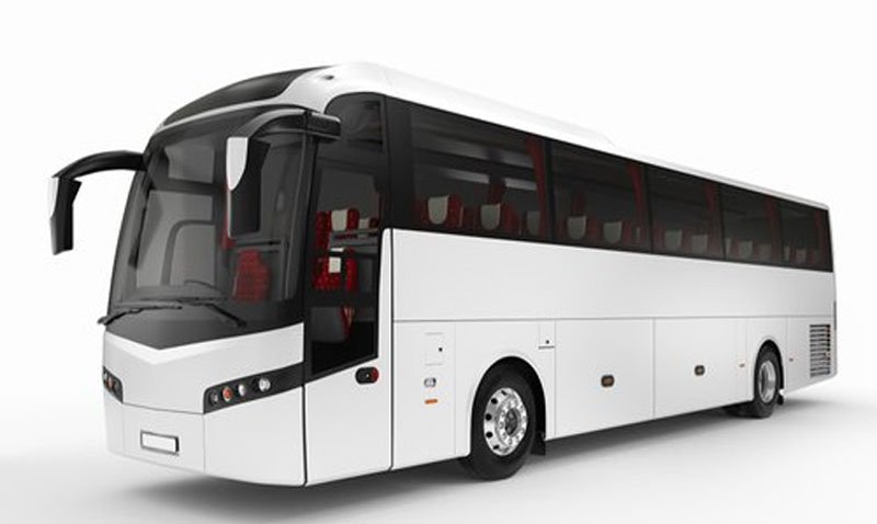 Ray Tours Jamaica - Jamaica's Premier Luxury Tour and Transportation Company - Coach